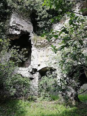 Lea Castle, Portarlington