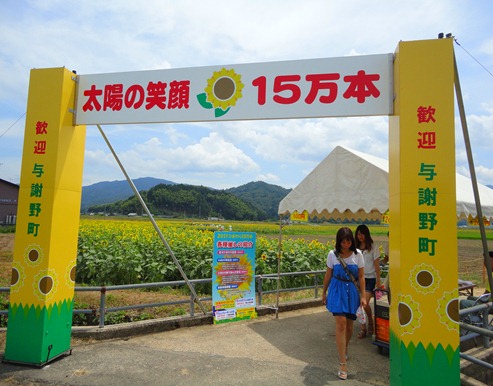 DSC08487