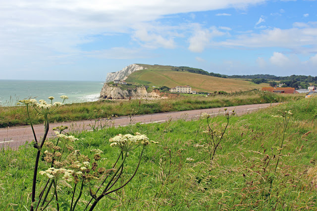 The Butterfly Balcony: Fish and chips at freshwater bay