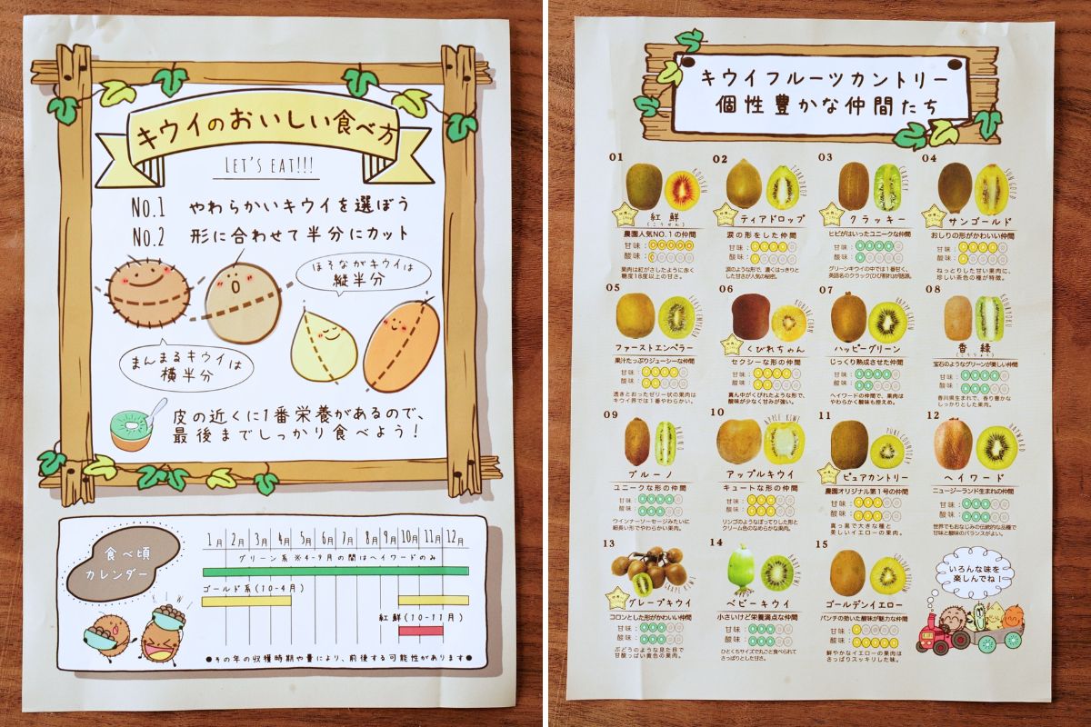 キウイフルーツカントリーJapanで購入出来るキウイフルーツ