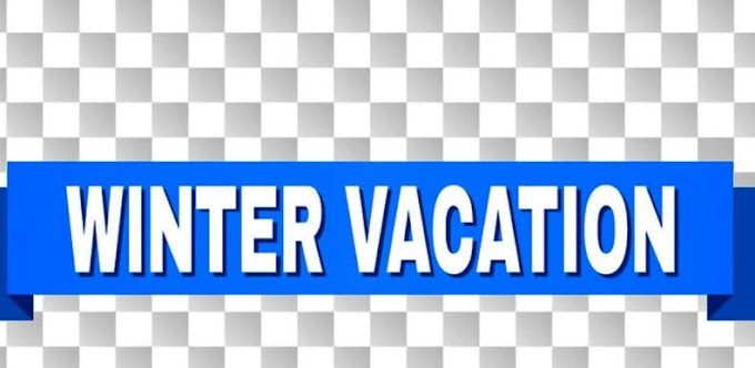 DSEJ Announces Winter Vacation for Summer Zone