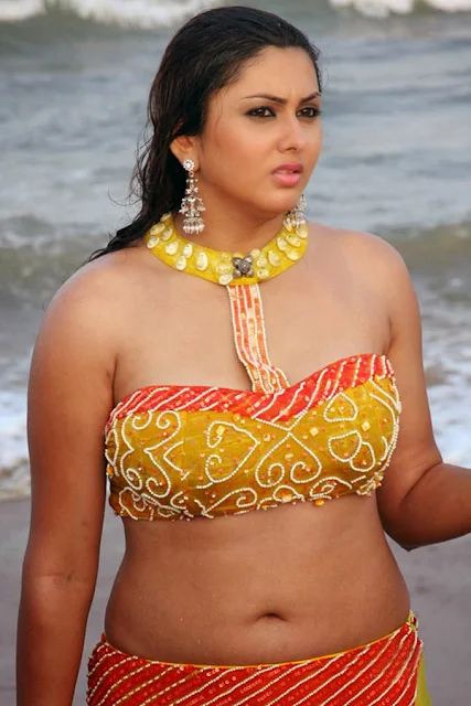 11 hottest pictures of the super hot South Actress Namitha