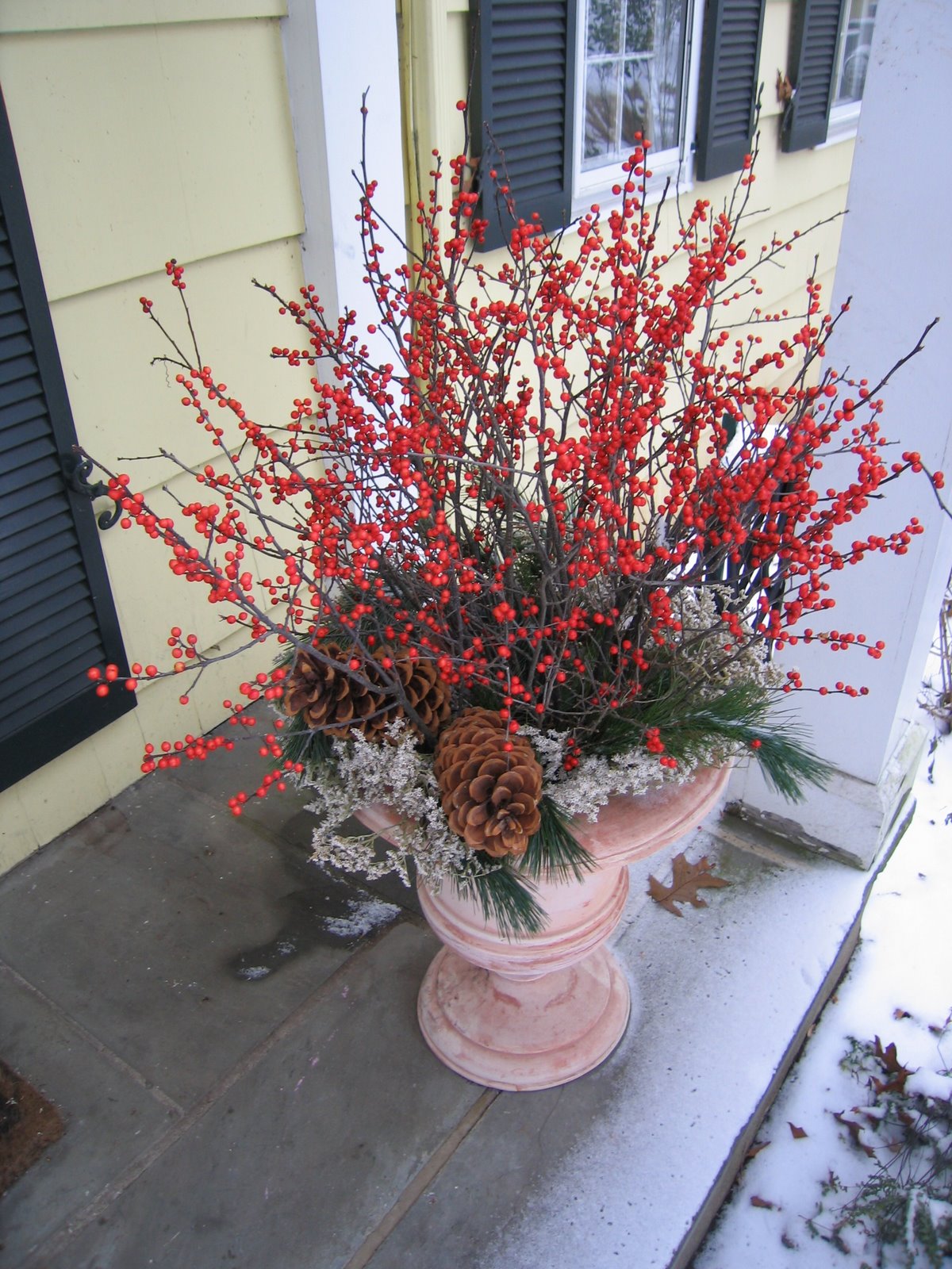 Container Gardening: Winter