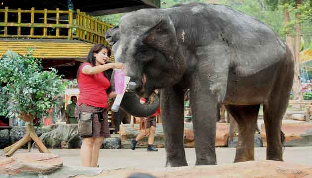 liburan akhir tahun dengan anak