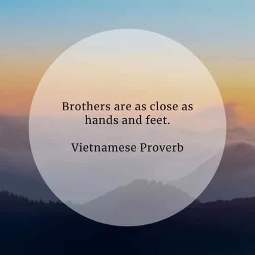 Best brother quotes that'll help your bond grow strong