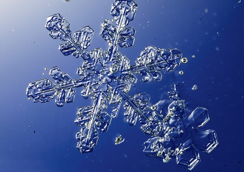 Snowflakes Clipart