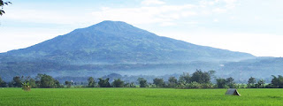 Beberapa Jalur Pendakian Gunung Ciremai 2014 Yang Sering Dilalui