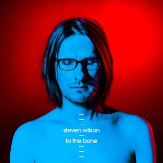 Steven Wilson To the Bone 2017 Descargar Mega