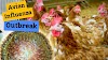 Avian Influenza Outbreak in France: Understanding the Virus and Its Impact on Birds