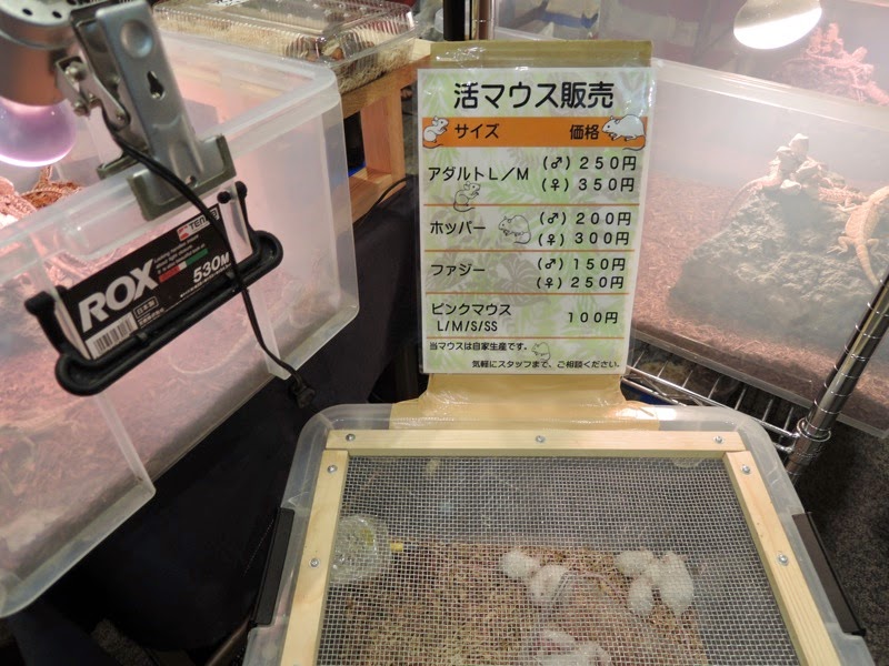 DSCN3217