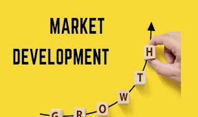 Apa yang Dimaksud Dengan Market Development? Dan Tips Mengembangkannya