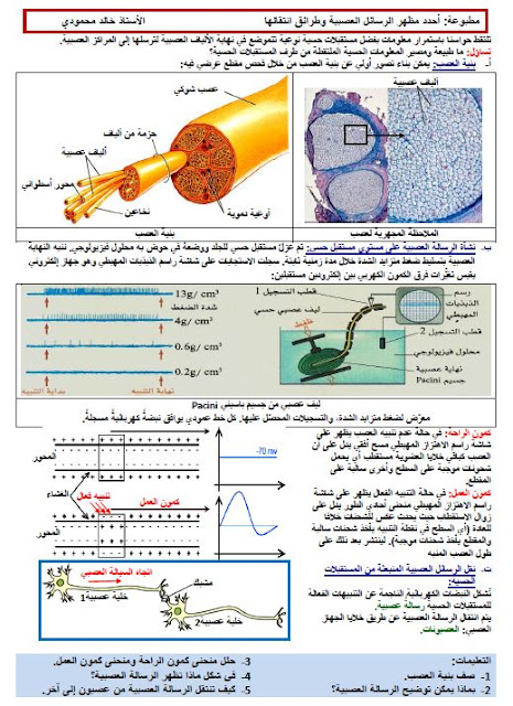 مذكرات الارتباط التشريحي للاتصال العصبي علوم طبيعية للسنة الرابعة متوسط للاسات خالد محمودي