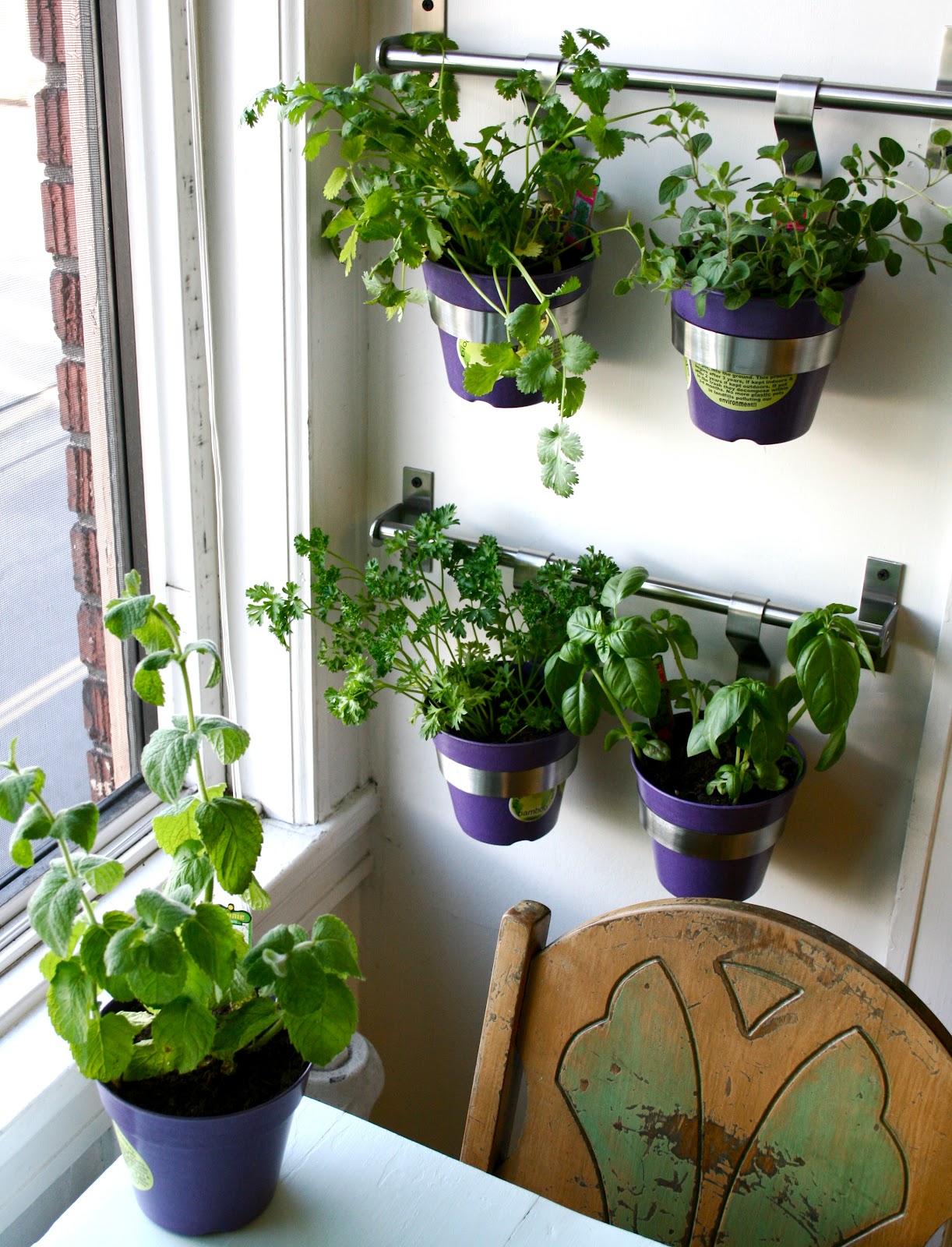 tHE gOOD LIFe: DIY: Herb Wall in the Kitchen