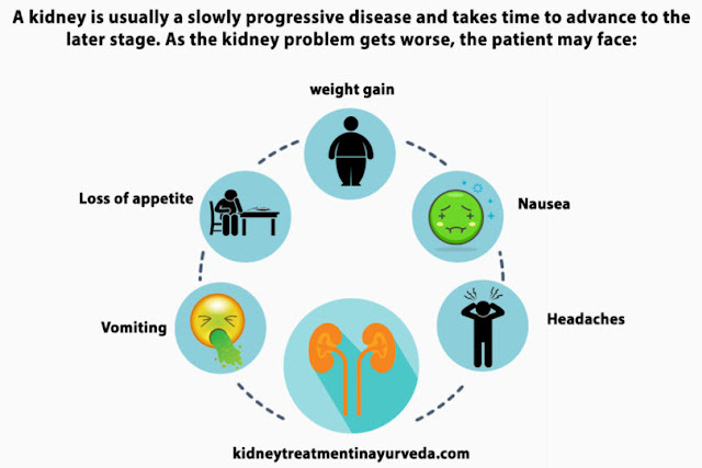 Ayurvedic Doctors for Kidney Failure Treatment in Juneau, Alaska – Dr. Puneet Dhawan