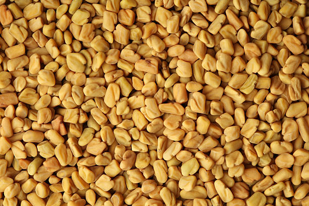 Fenugreek Hair Benefits