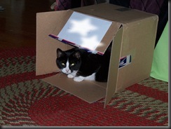 box