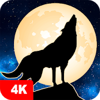 Wolf Wallpapers 4K Apk Download for Android