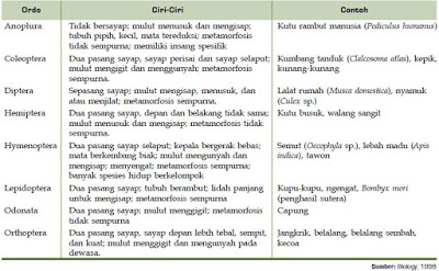 Klasifikasi Filum Arthropoda Contoh  serta Ciri Ciri Hewan  