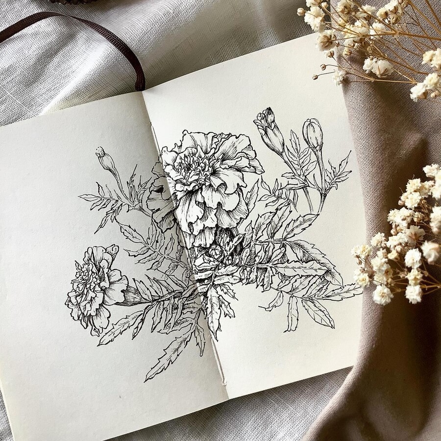 03-Marigolds-Flower-Drawings-Hiro-www-designstack-co