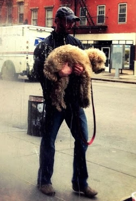 Man carrying a dog