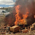 Itabuna: Mais de mil quilos de maconha apreendida são incinerados