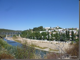 P1170203