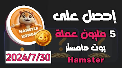 كروت هامستر اليوم 7/30