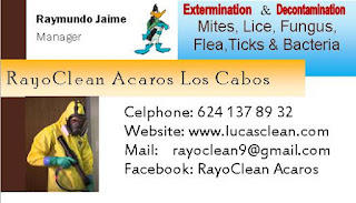 tarjeta de negocio, rayo Clean Los Cabos