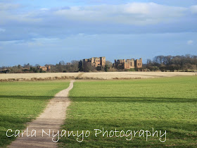 Kenilworth castle