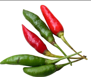 Jual Bibit Cabe Rawit 082234461406