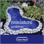 Miniature plants