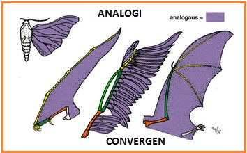 CERDAS BIOLOGI  INTI SARI BIOLOGI