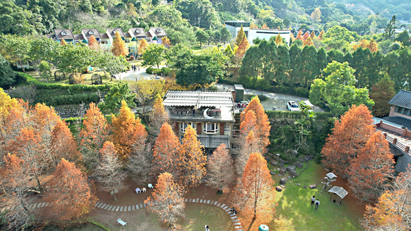 苗栗南庄雲水溫泉度假森林十大落羽松秘境之一，還可泡湯簡餐住宿