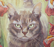 First is this cat's facebut especially his eyes, which are a luminous . (thomas bigeater face)