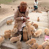 Rabbit Island, Pulau Penuh Kelinci Lucu di Jepang