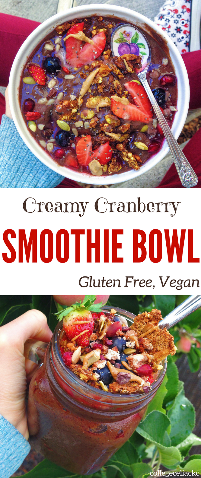 Creamy Cranberry Smoothie Bowl (Gluten Free, Vegan)