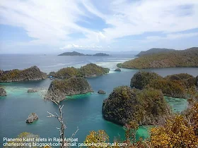 Piaynemo Karst in Raja Ampat