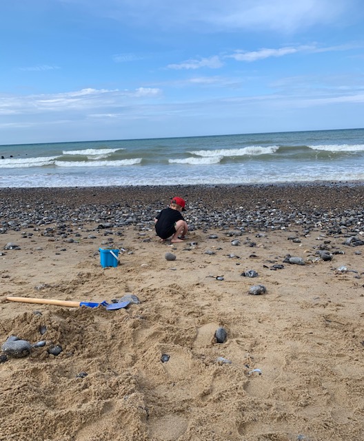 Boy collecting stones on the beach