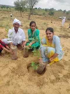 संतो के सानिध्य में शब्दावाणी पाठ के साथ 1100 पौधारोपण कर भक्त बाजोजी बगीची की नींव रखी