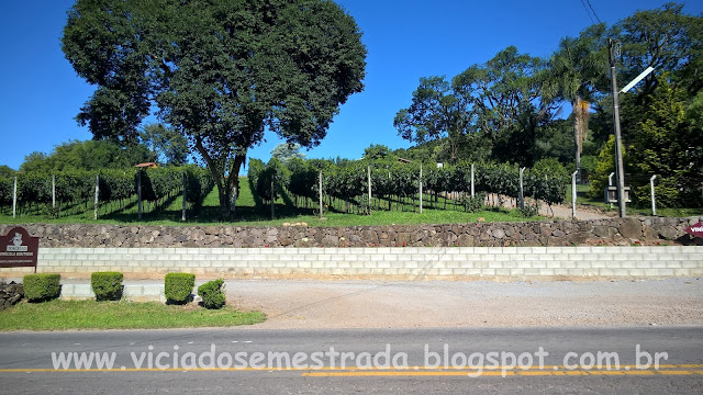 Parreirais no Vale dos Vinhedos, Serra Gaúcha