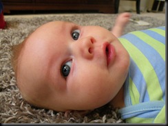 Andrew3