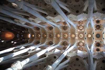 Ceiling of the main nave of Sagrada Familia Basilica