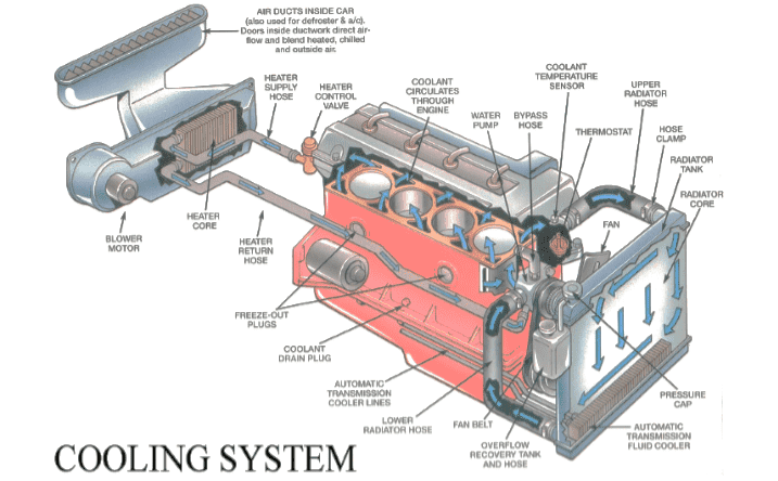 Components Of Cooling System In A Car Engine