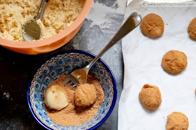 Pure maple syrup sweetens these seasonal treats. Rolled in a maple sugar and cinnamon coating, this refined sugar free version of the classic Snickerdoodle celebrates the bounty of a northern winter.