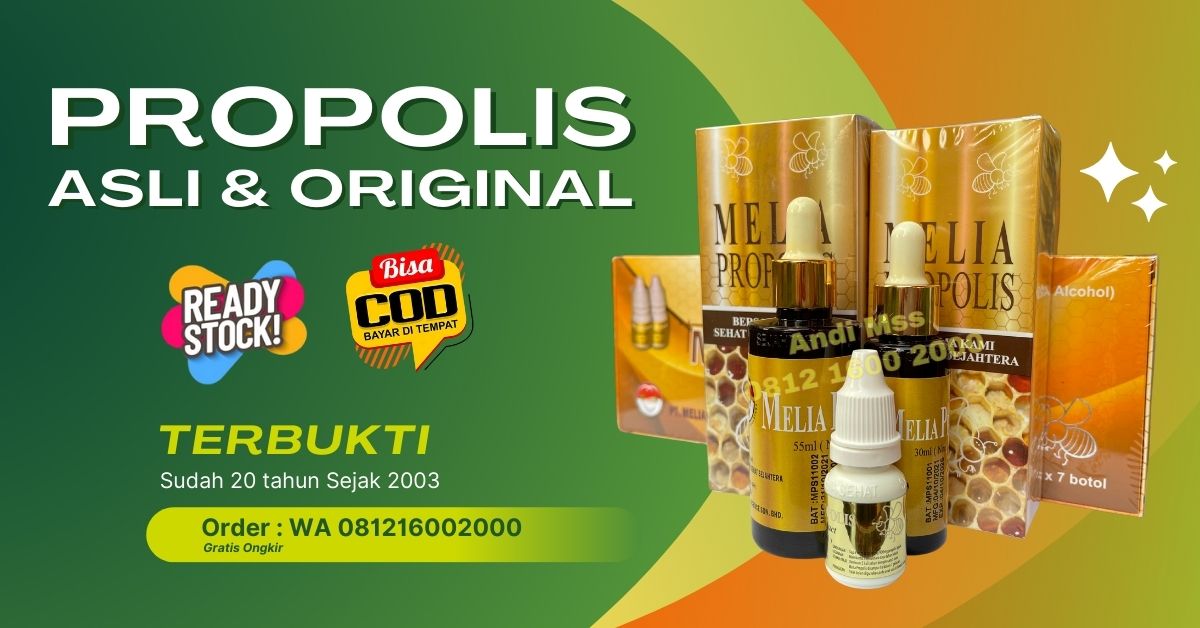 propolis asli original