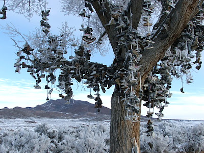 nevada05 Nevada Shoe Tree