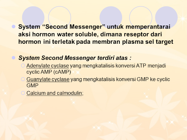 System "Second Messenger"