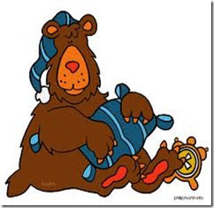 hibernation
