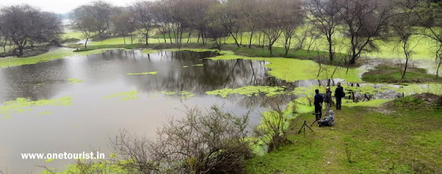 keoladeo national park , Bharatpur , Rajasthan 