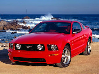 Mustang beach wallpapper